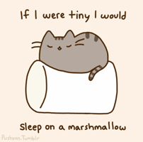 Cat Sleep GIF by Pusheen