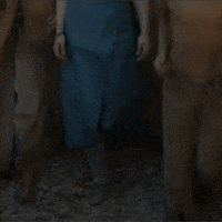 emilia clarke khaleesi GIF by Game of Thrones