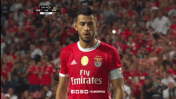 Sl Benfica Slbgifs GIF by Sport Lisboa e Benfica
