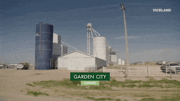 viceland GIF by WEEDIQUETTE