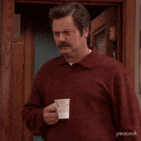 Season 4 Ron GIF by Parks and Recreation