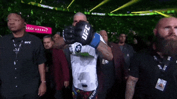 Alex Pereira Sport GIF by UFC