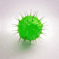 Animation Loop GIF by xponentialdesign