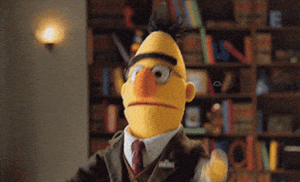 Sesame Street Whatever GIF by Muppet Wiki