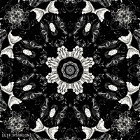 Art Loop GIF by Psyklon