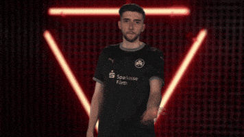 Vbl Gesture GIF by Bundesliga