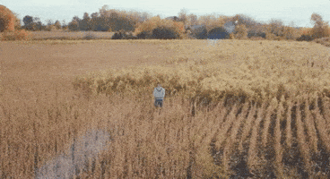 Field Adelaide GIF by Johnny Orlando