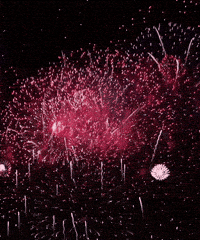 Firework Fourth Of July GIFs - Find & Share on GIPHY