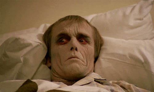 Dawn Of The Dead GIFs - Find & Share on GIPHY