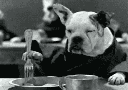 Dog Eating GIFs - Find & Share on GIPHY