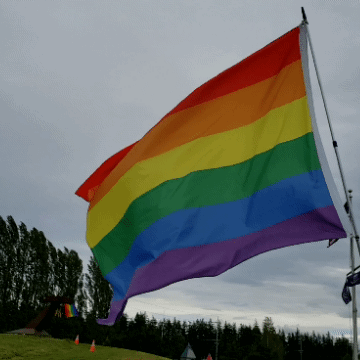 Gay Rainbow Flag GIFs - Find & Share on GIPHY