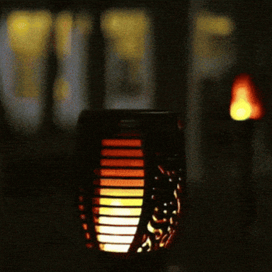 Antorcha Olimpica GIFs - Find & Share on GIPHY