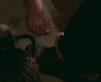 [Image: 200w.gif]