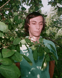 nishika ニシカ n8000 3D GIF A 