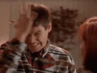 Dumb And Dummer GIFs - Find & Share on GIPHY