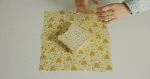Food Wrap GIFs - Find & Share on GIPHY