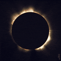 Total Lunar Eclipse GIFs - Find & Share on GIPHY