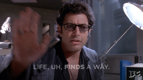 source.gif