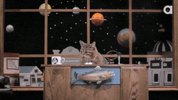 Lil Bub Hello GIF by Internet Cat Video Festival