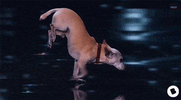 mel b television GIF by Beamly US