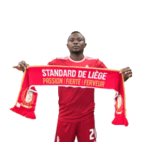 Football Soccer Sticker by Standard de Liège