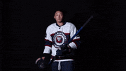 lmuicehockey celebrate goal ice hockey score GIF