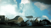 GIF by Jaime Martinez