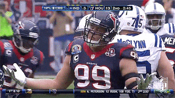 Houston Texans Football GIF by NFL