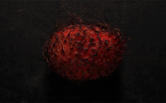 the-99-cent-chef giphyupload fruit rambutan GIF