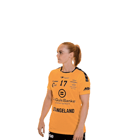 Solahk Sticker by Sola Håndball