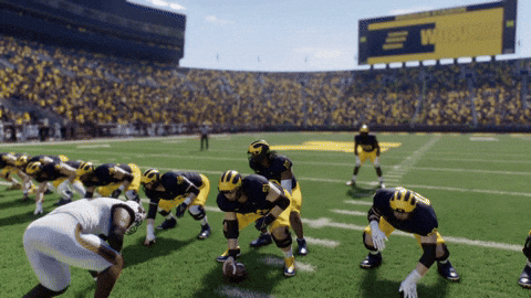 Rake2204 giphyupload GIF