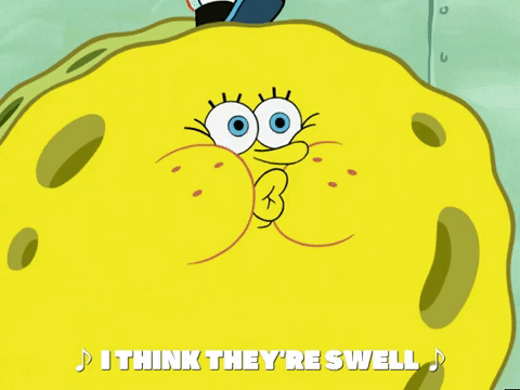 season 5 episode 20 GIF by SpongeBob SquarePants