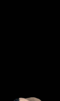 Popo Yes GIF by ponycorn