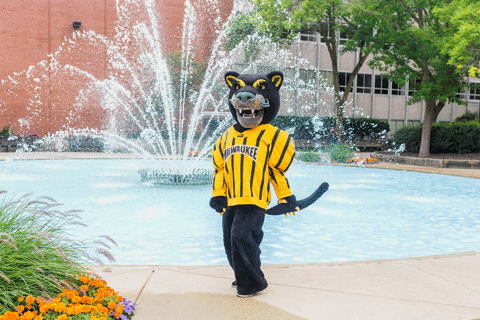 uwmilwaukee giphyupload funny mascot university GIF