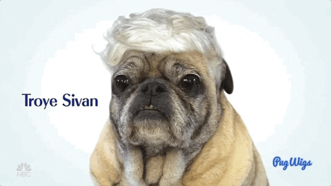 troye sivan snl GIF by Saturday Night Live