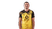 Borussia Dortmund Applause Sticker by Bundesliga