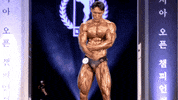 Workout Muscle GIF by nabbakorea