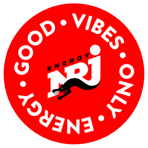 Energygraphics Sticker by ENERGY Germany