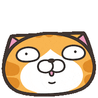 Cat Wtf Sticker by MochiDad