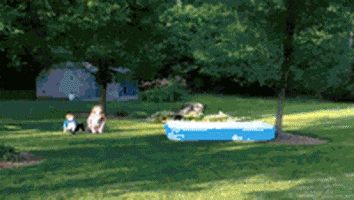 dog fail GIF by America's Funniest Home Videos