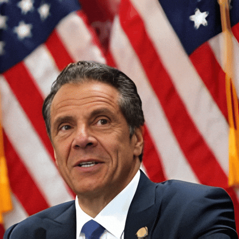 New York Nyc GIF by Andrew Cuomo