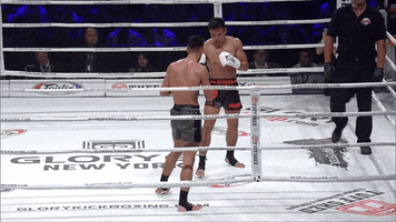 GLORYKickboxing muay thai knockouts glory kickboxing josh jauncey GIF