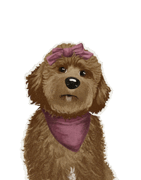 Golden Doodle Canada Sticker