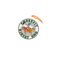 Crossfit Kiryatono Sticker by CFKONO