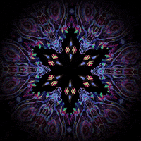Beauty Loop GIF