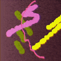 Art Illustration GIF by stanybebe