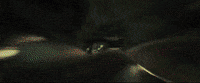 ben stiller film GIF