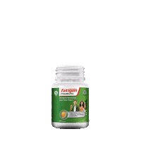 Fatigon_id kalbe imun imune daya tahan tubuh Sticker