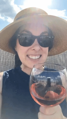 giphyupload wine GIF