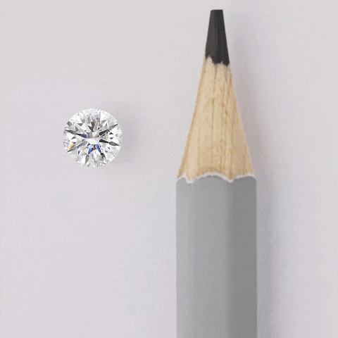 taylorandhart giphygifmaker GIF